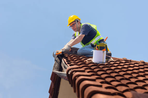 Best Flat Roofing  in Wolfe City, TX